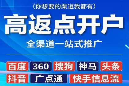 SEM代运营案例分析：精准投放策略解析